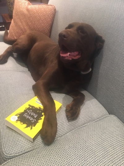 Family Dog, Saving Bobby by Renee Hodges